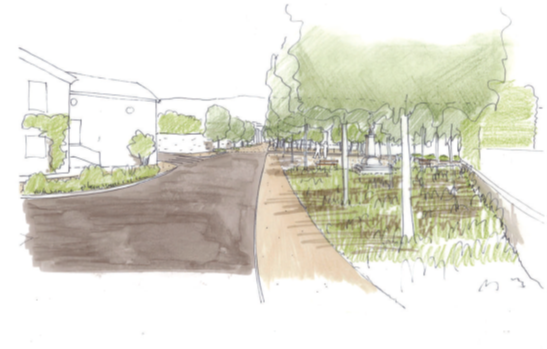 Forêt urbaine devant l’école